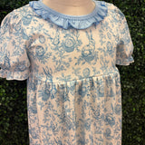Easter Toile Dress
